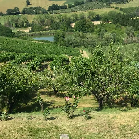 Villetta le Rose Tavullia Esterno foto