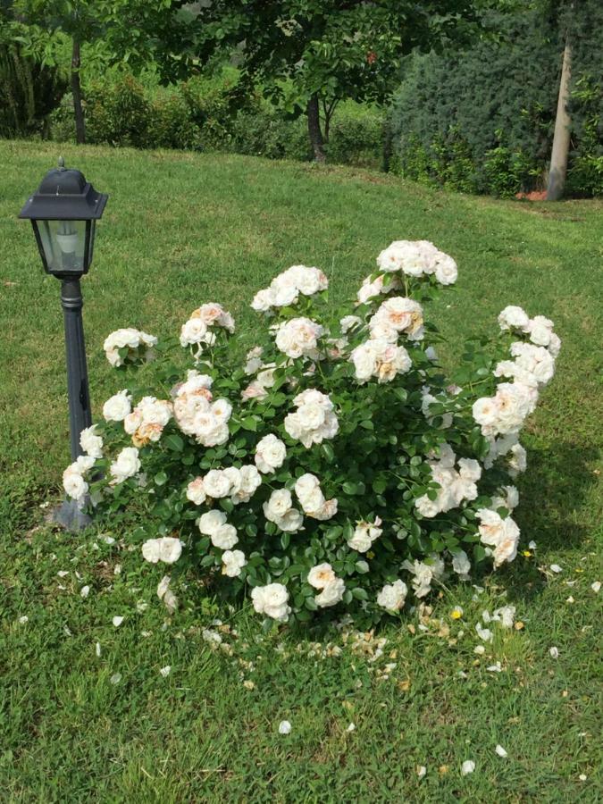 Holiday home Le Rose *