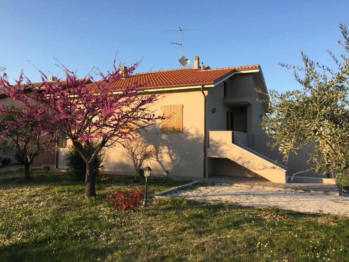Le Rose Holiday home Tavullia